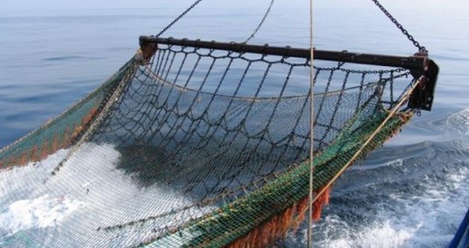 Ilustrasi. Foto : Net