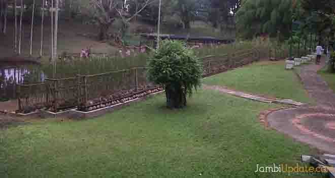 Taman anggrek jambi. Foto : Dok Jambiupdate
