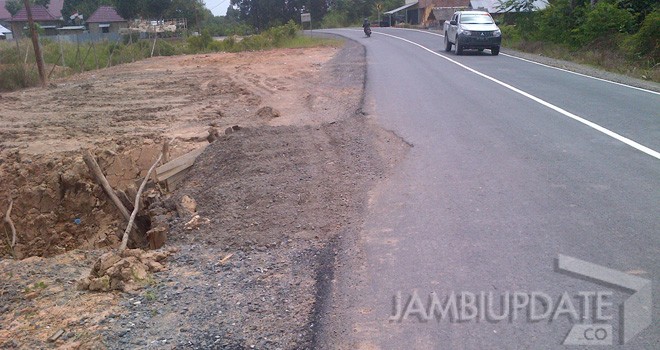 Jalan Nasional jalur Kualatungkal-Jambi.