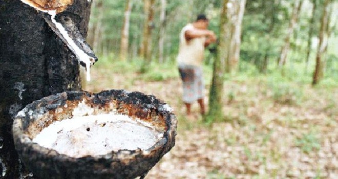 Ilustrasi. Foto : Net