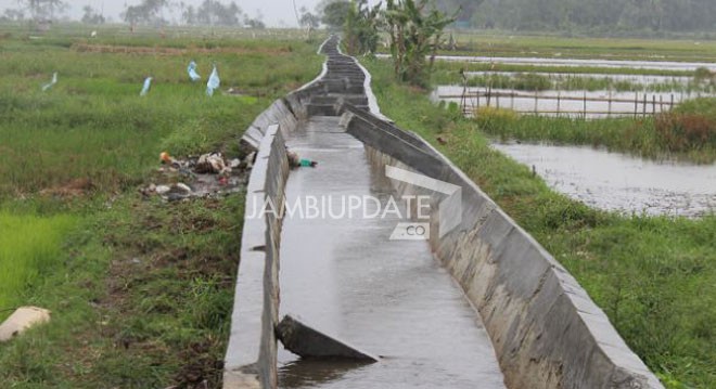 Belum setahun irigiasi dibangun, sudah mengalami kerusakan. Foto: Gusnadi/JE