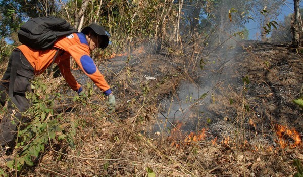 Ilustrasi titik api.
