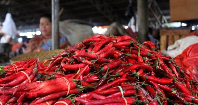 Harga cabai kian pedas, kenaikan hingga Rp 80 ribu per kilogram.