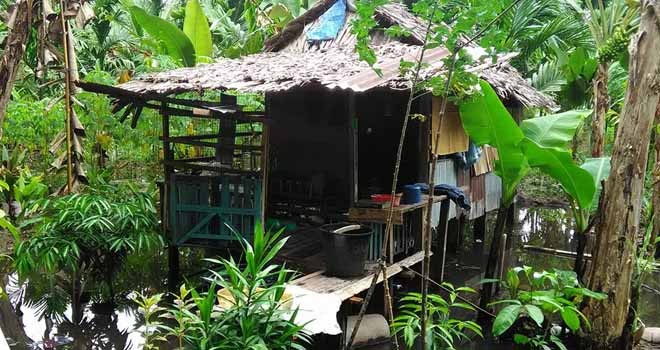 Tampak rumah yang dihuni kakek Samsu (67) warga asal Lagan numpang tinggal di pondok kebun milik warga.