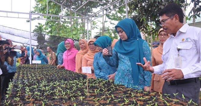 Ketua TP PKK Provinsi Jambi, Hj. Sherrin Tharia Zola saat acara Penandatanganan Perjanjian Kerjasama antara Balai Pengkajian Teknologi Pertanian (BPTP) Badan Penelitian Pengembangan Pertanian (Balitbangtan) Jambi dengan Tim Penggerak PKK Provinsi Jambi  di Taman BPTP Jambi, Desa Pondok Meja, Kecamatan Mestong, Kabupaten Muaro Jambi, Selasa (21/2) siang.