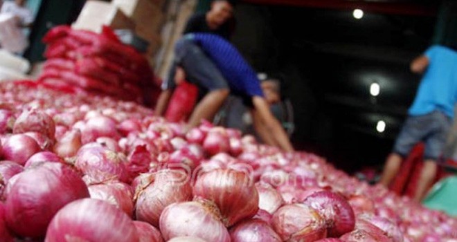 Bawang Merah. Foto: JPG