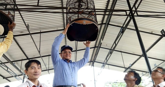 Maulana Menggantung Burung Berkicau pada Kontes Kicau Burung Road to Walikota  di Kelurahan Payosilincah Kecamatan Jambi Timur kemarin (26/2).