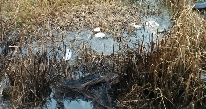 Limbah medis yang dibuang ke TPA.