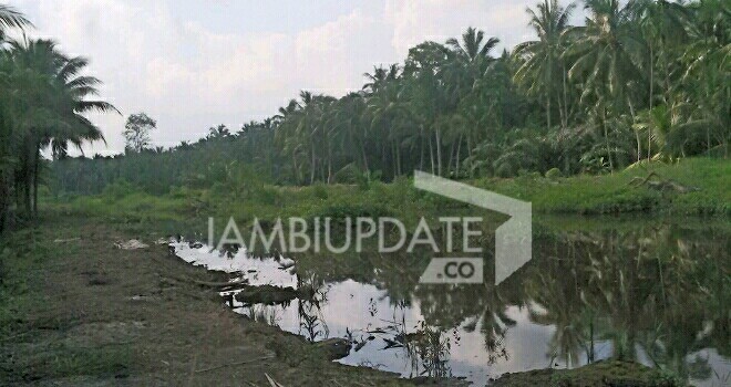 Kebun kepala ditanjabtim.