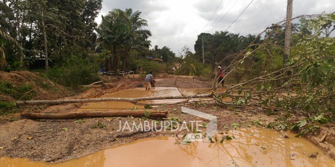 Tampak jalan lintas Sungai Bahar - Jambi di blokir warga dengan menggunakan dua batang pohon.