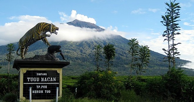 Simpang tugu macan kerinci.