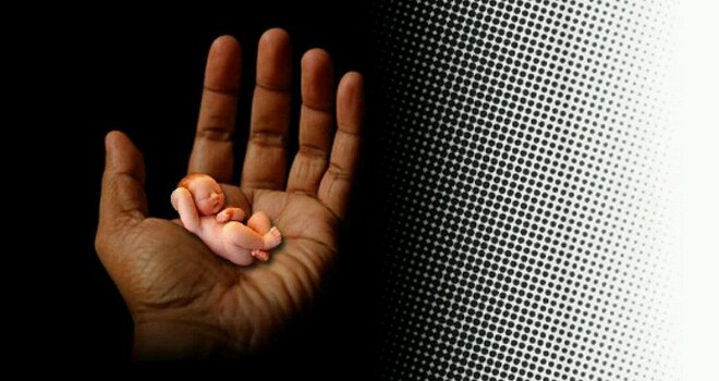 Ilustrasi. Foto : Ist