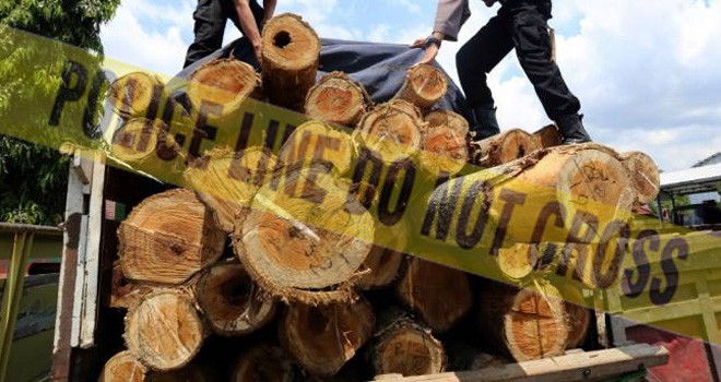 Ilustrasi. 