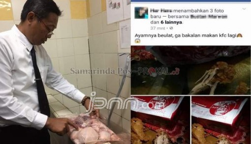 Hiii... Ada Belatung di Dalam Ayam KFC. Foto: Prokal