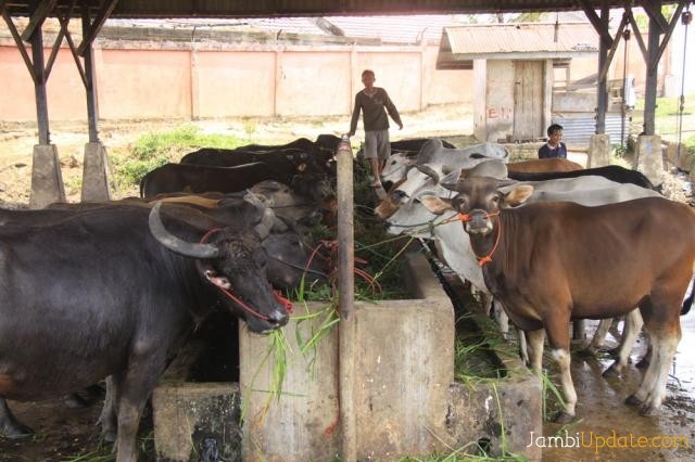 Ilustrasi. Foto: Dok Jambiupdate