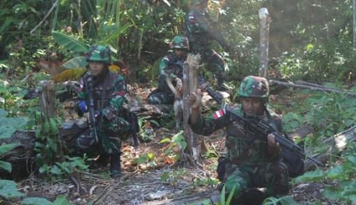 Ilustrasi. Foto: Cenderawasih Pos