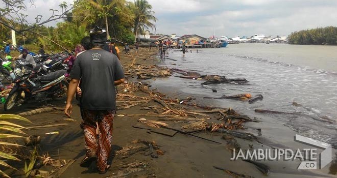 Abrasi yang terjadi akibat tumpukan sampah. 