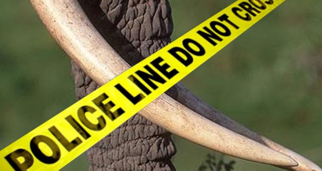 Ilustrasi.