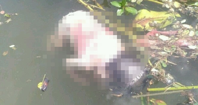 Bayi yang ditemukan warga mengapung di Buluran.
