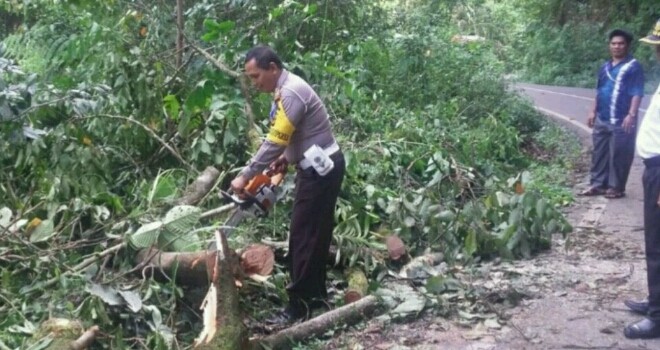 Kasatlantas saat membersihkan kayu yang tumbang.