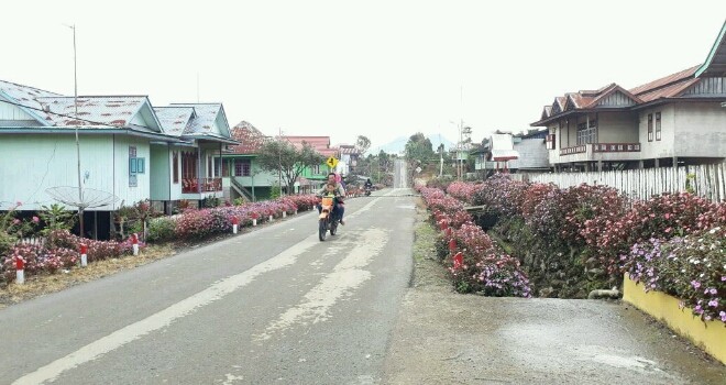 Seribu bunga di Desa Renah Alai, Jangkat.