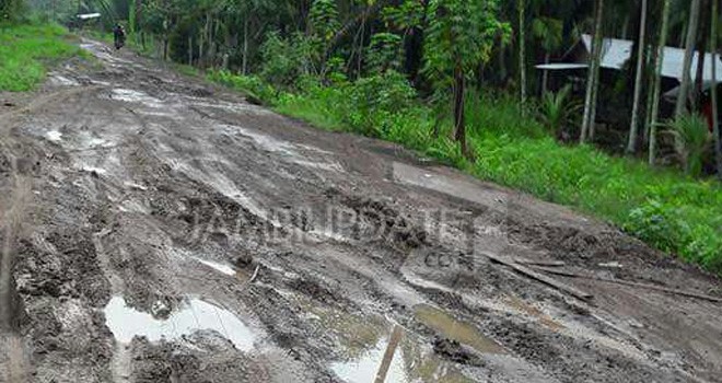 Kondisi Jalan Desa Ketapang Tanjab Barat,