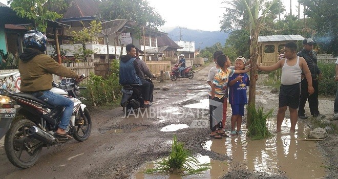 Tampak jalan di Desa Tanah Cogok (Tanco) Kerinci ditanami warga pohon pisang di jalan yang digenangi air.