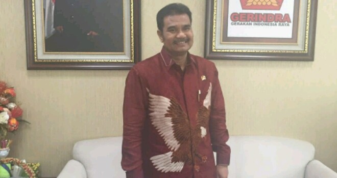 Anggota DPR RI Sutan Adil Hendra. 