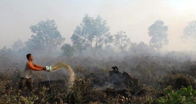 Ilustrasi Foto Kebakaran Lahan.