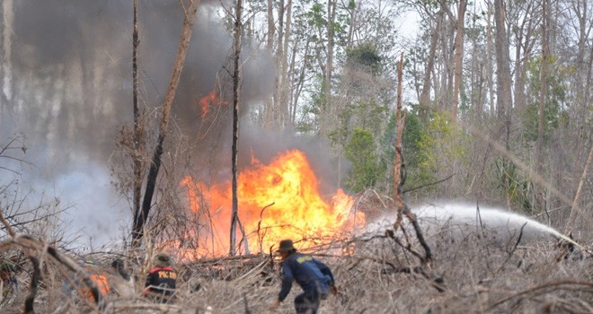 Ilustrasi. Foto : policenewscenter.com