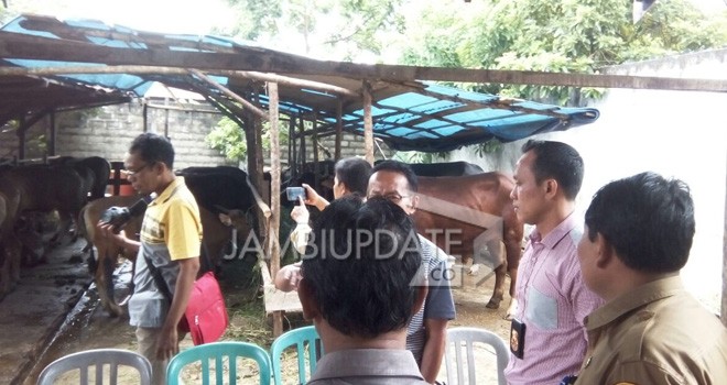 Satgas Pangan Polda Jambi saat Sidak Hewan Kurban.
