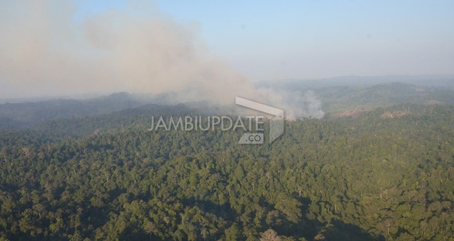 Lahan Terbakar di Provinsi.