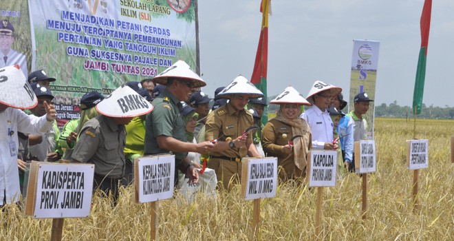 Bupati Masnah saat Dampingi Gubernur Panen Raya di Pematang Pulai.