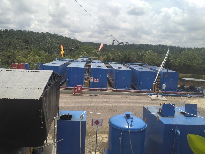 MontD Or Oil Tungkal Ltd.