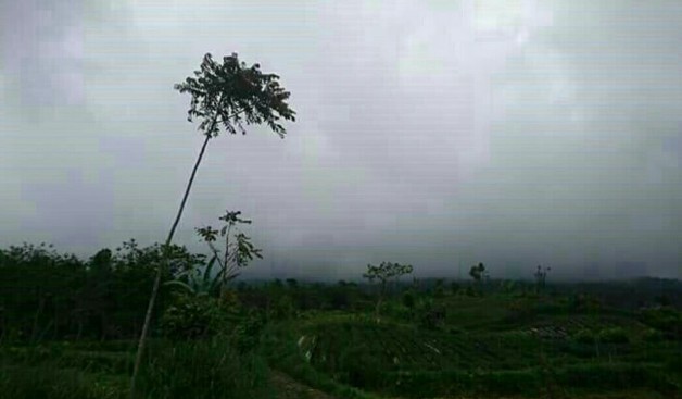 Kondisi cuaca disekitaran Gunung Kerinci