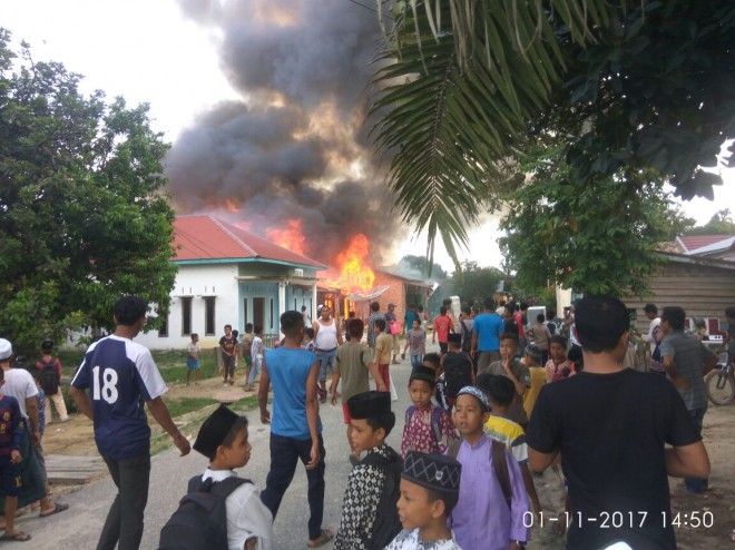 Si jago merah kembali mengamuk di Kabupaten Tanjab Barat. Rabu (1/11).