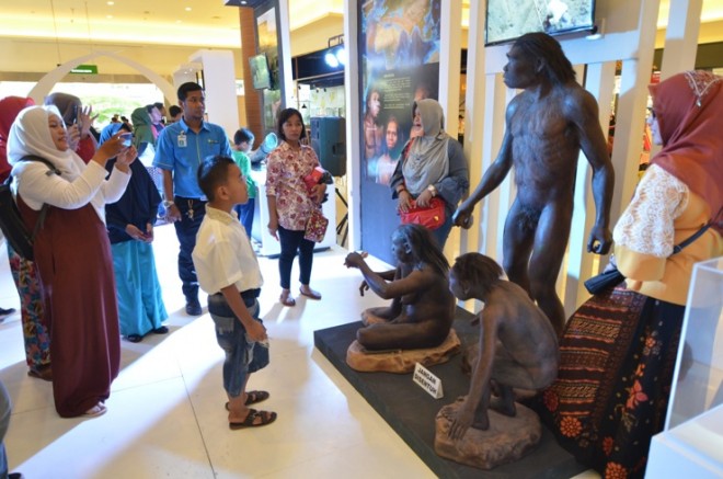 Manusia purba Sangiran dipamerkan kepada masyarakat Jambi