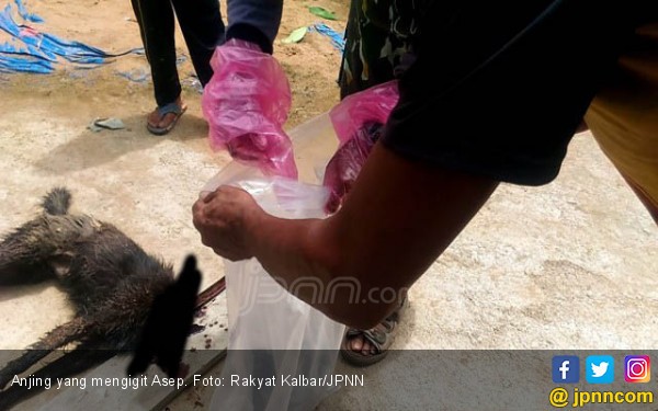 Foto : dok. jpnn.com