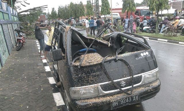 Sebuah kendaraan ringsek berat akibat tertimpa pohon di depan TPU Singkawang, Kota Jambi (17/11)