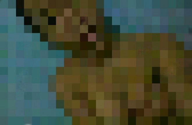 Foto bugil salah seorang pelajar di Kabupaten Batanghari.