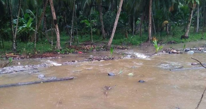 Tanggul penahan air laut yang berada di Desa Tungkal Satu, jebol.