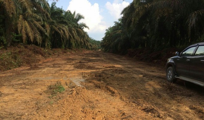 Pembukaan jalan budiman kecamatan tebing tinggi.