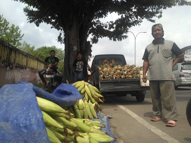 Pedagan jagung di kota jambi. 