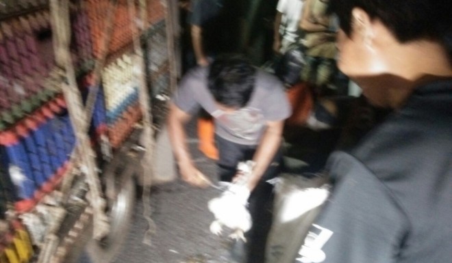 Pedagang saat Potong Ayam di Tengah Jalan.
