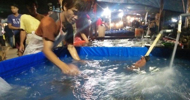 Agen Ikan di Pasar Induk Paal X Kota Jambi Tengah Sibuk melayani pembeli rabu malam (3/1).