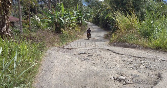 Telihat juga jalan Desa Kebun Baru yang rusak parah.