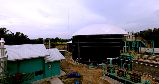 Untuk menjaga stabilitas harga, Jambi butuh 15-20 pabrik kelapa sawit (PKS).