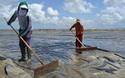 ilustrasi petani garam mengolah lahannya (Dok.JawaPos.com)