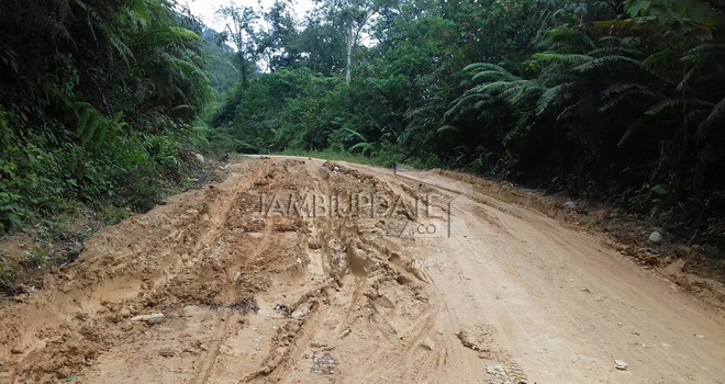 Salah satu titik jalan Sarolangun- Batangasai yang mengalami kerusakan. 