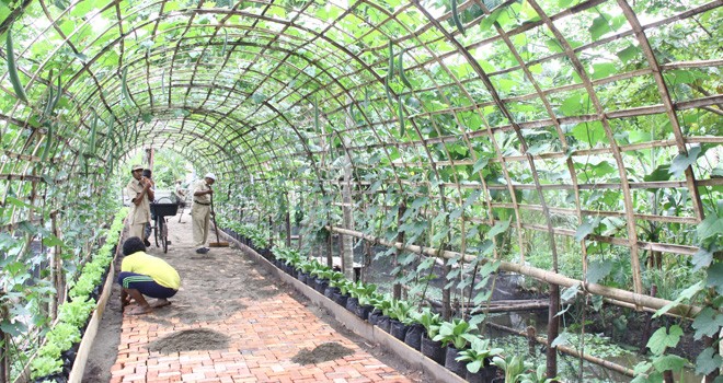 Untuk memaksimalkannya lahan tidur menjadi pertanian, maka dibentuk Kader Tani agar potensi pertanian bisa dikembangkan.